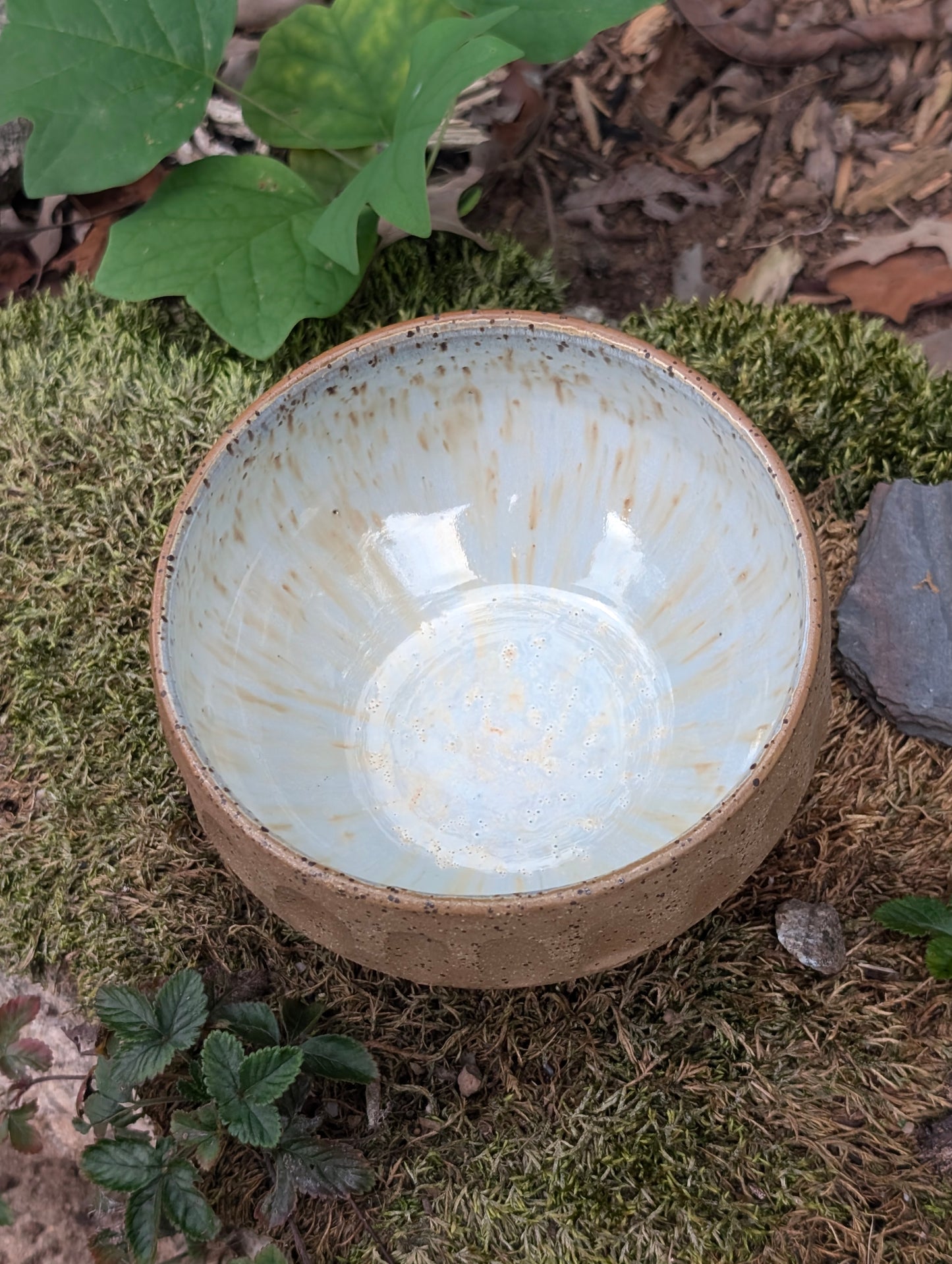 Dreamy Bowl