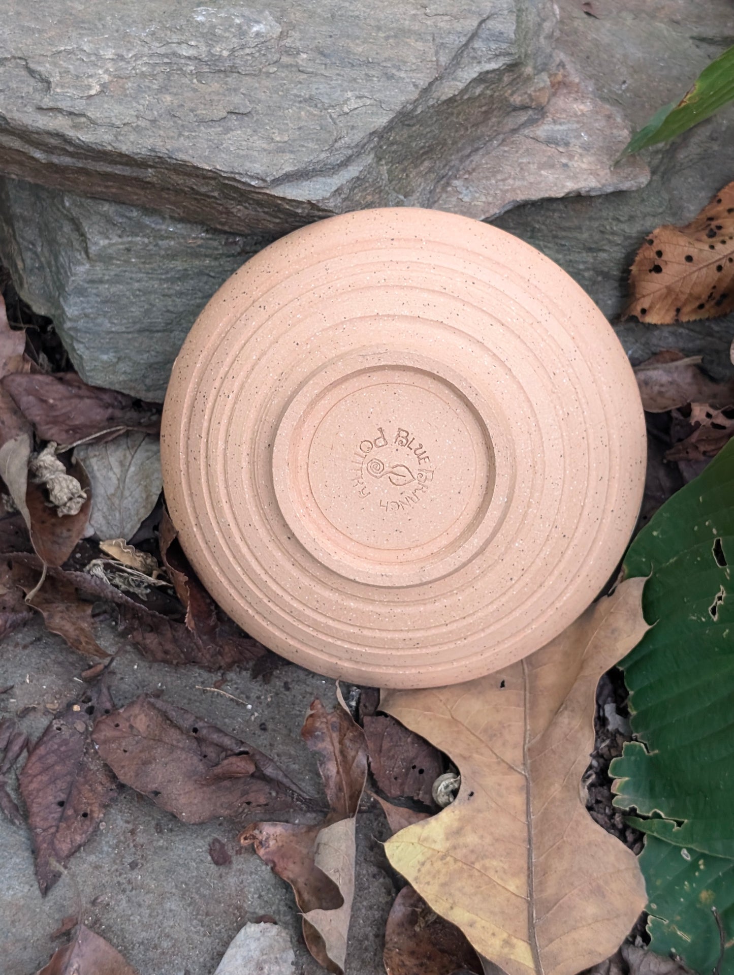 Dappled Daydreams Bowl