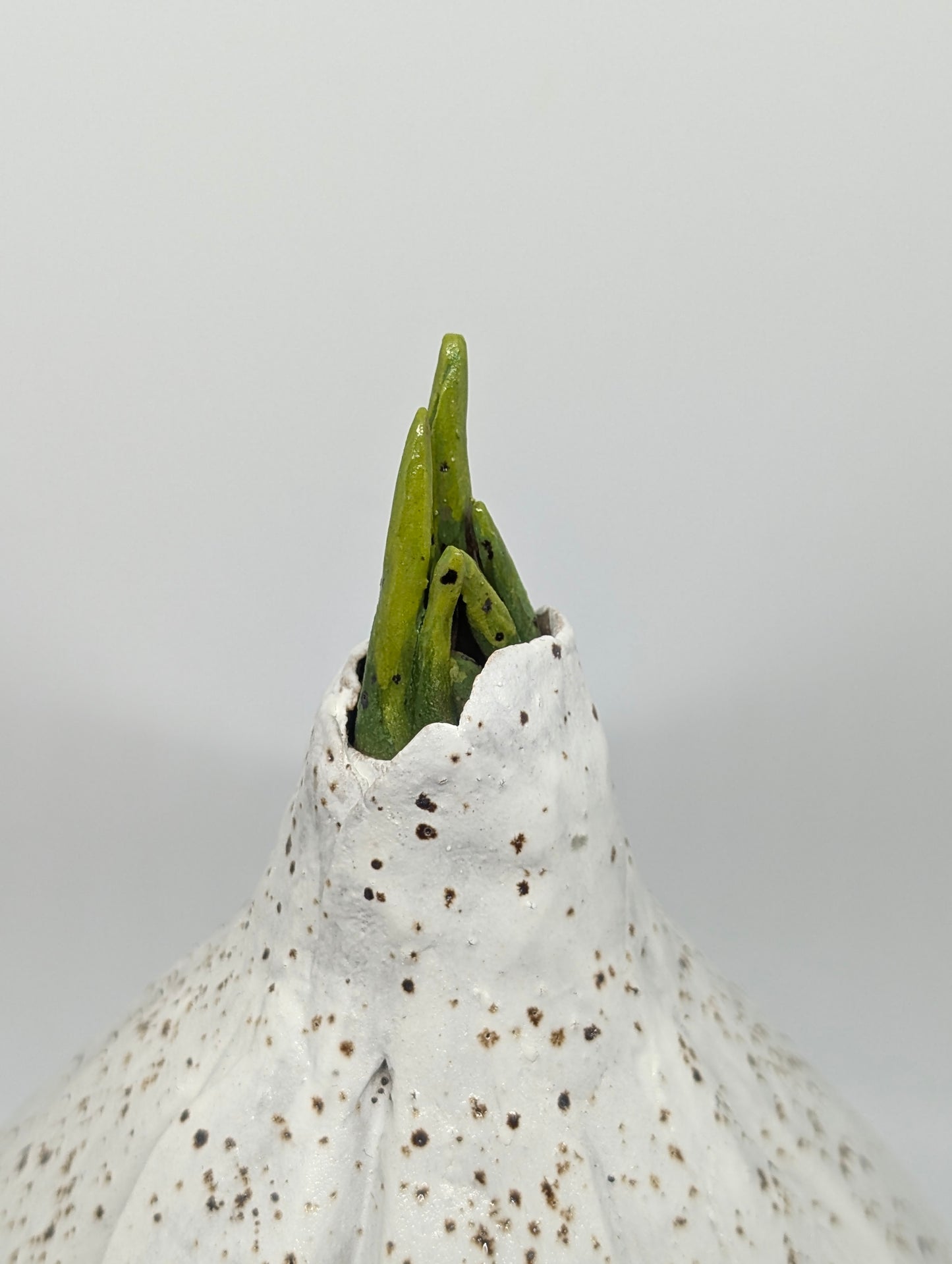 Garlic, garlic keeper PREORDER read description!
