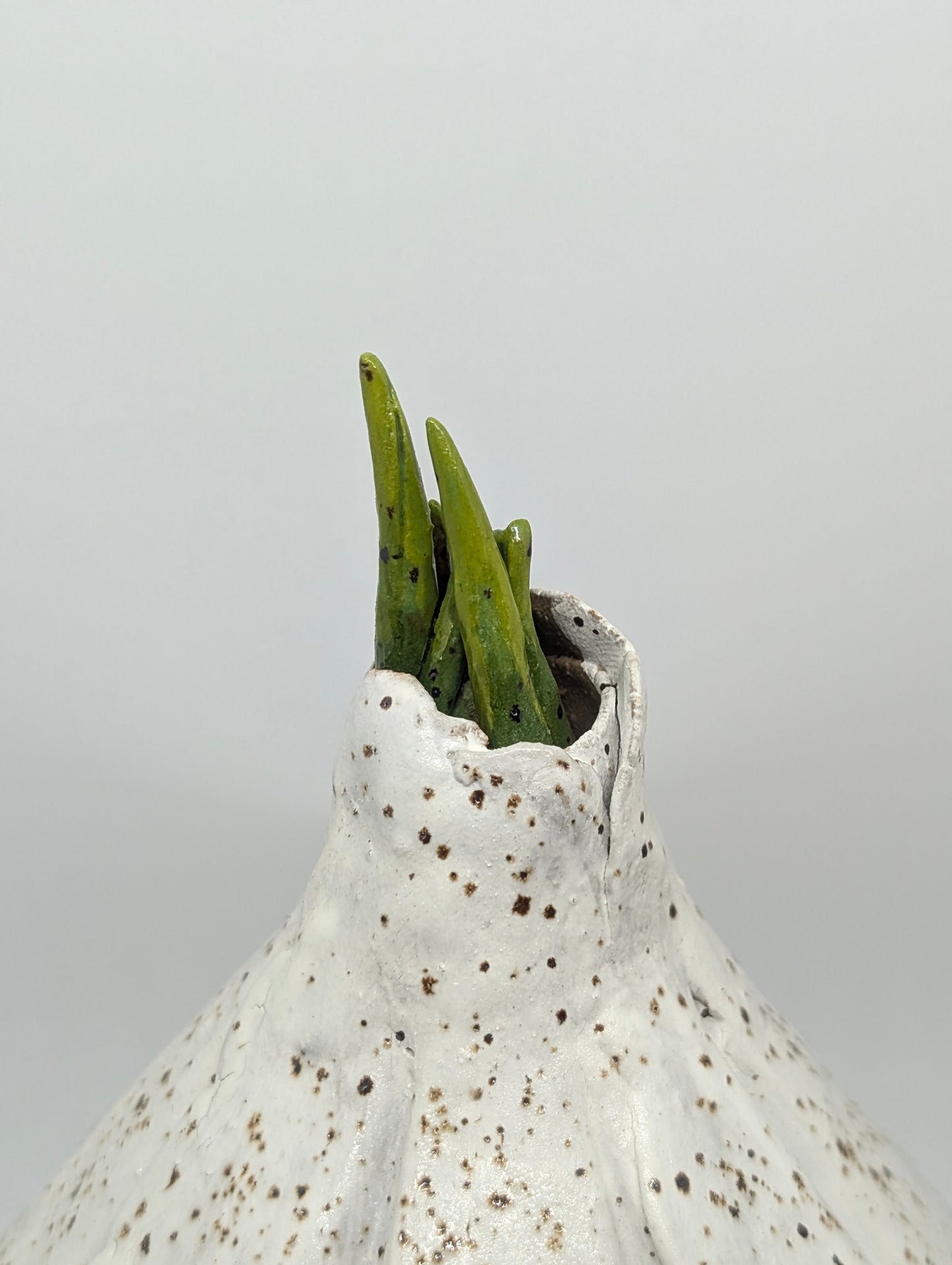 Garlic, garlic keeper PREORDER read description!