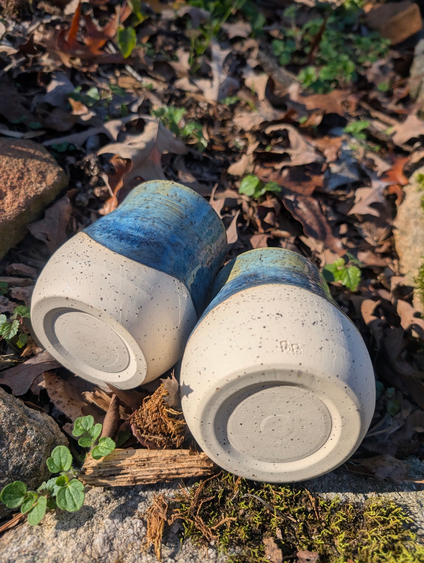 Mountain Mist Tumbler