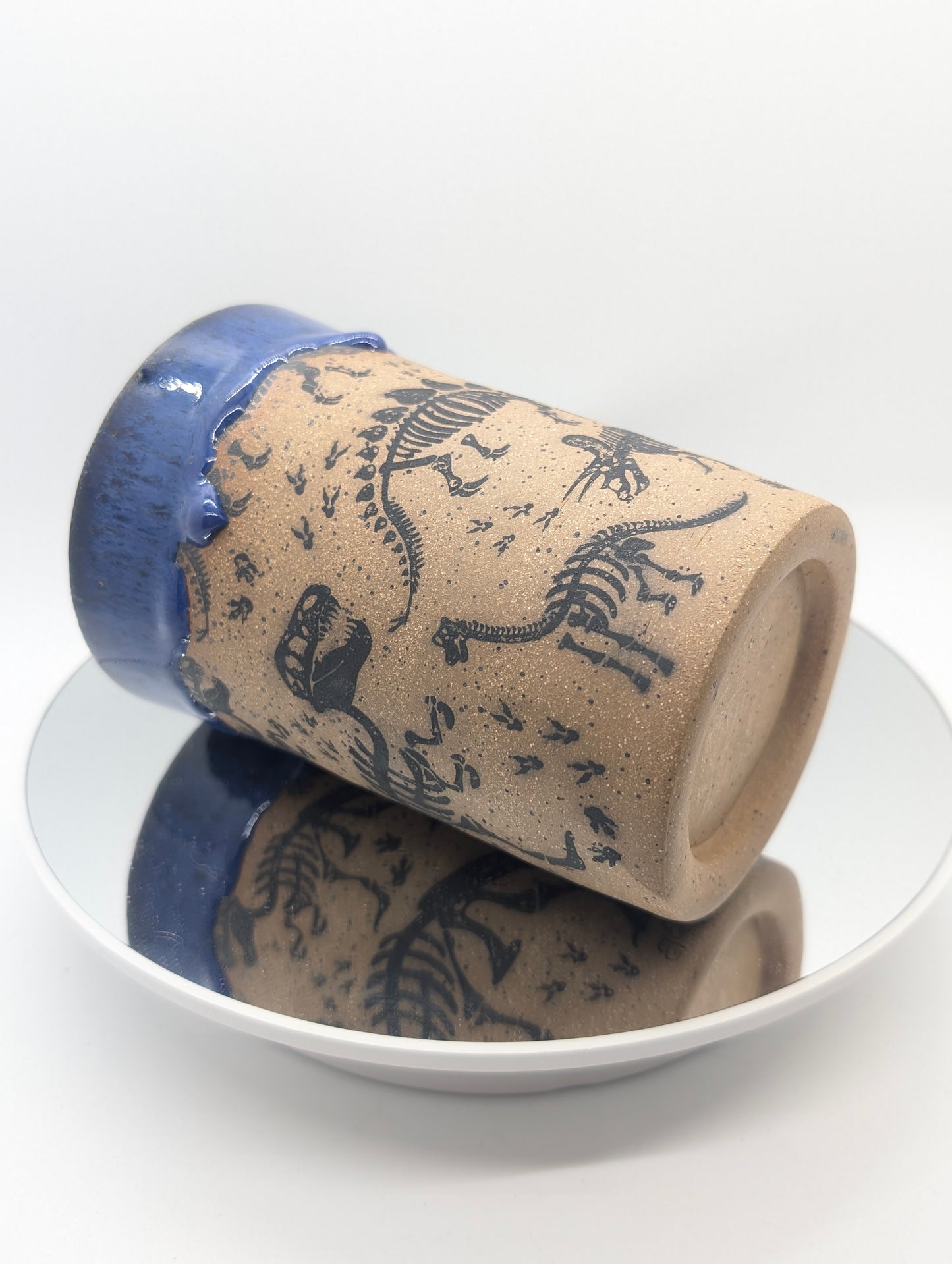 Dinosaur fossils straw tumbler