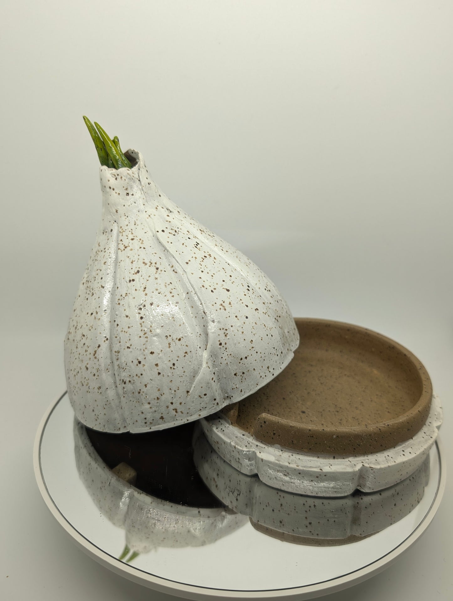 Garlic, garlic keeper PREORDER read description!