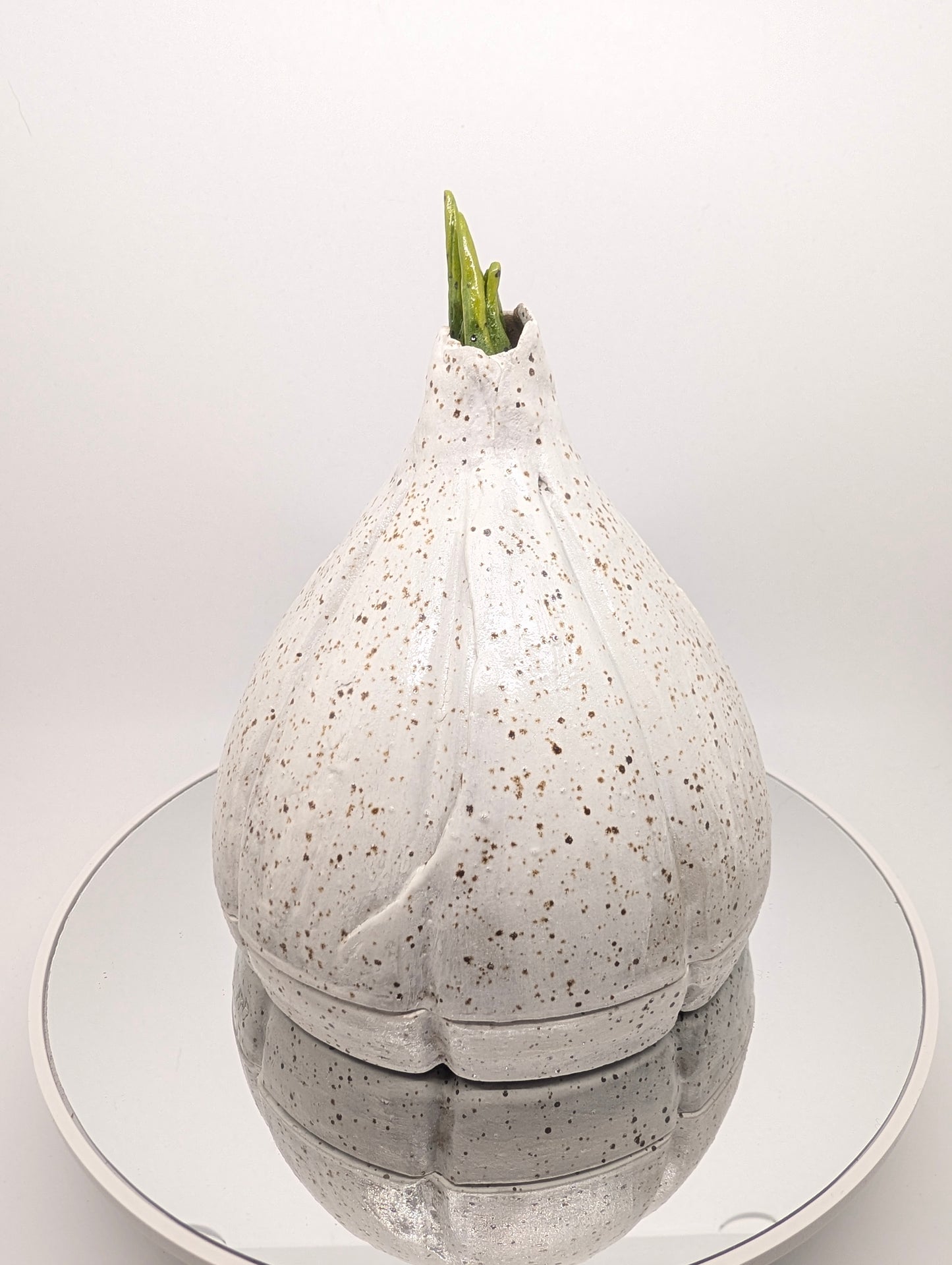 Garlic, garlic keeper PREORDER read description!