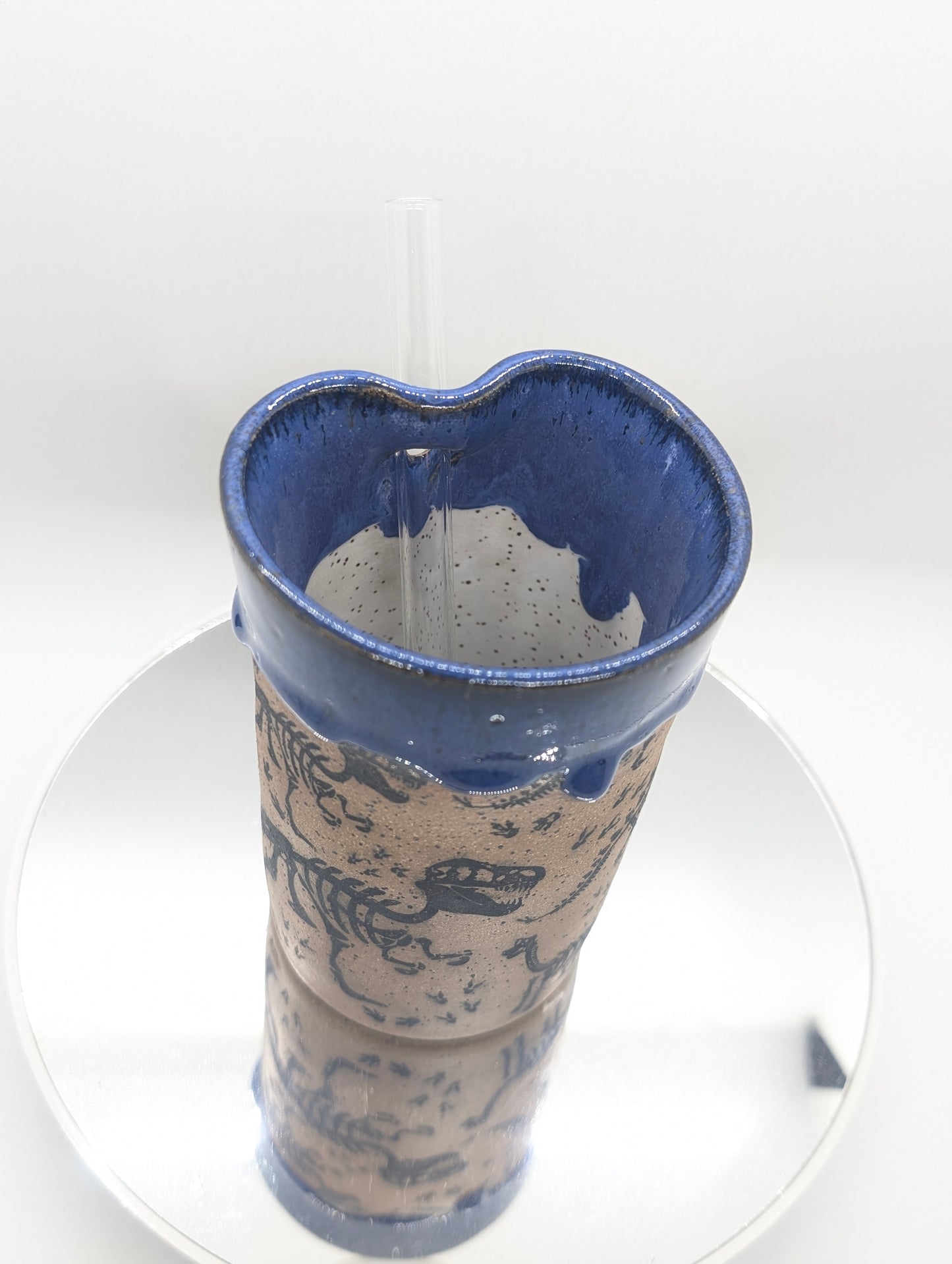Dinosaur fossils straw tumbler
