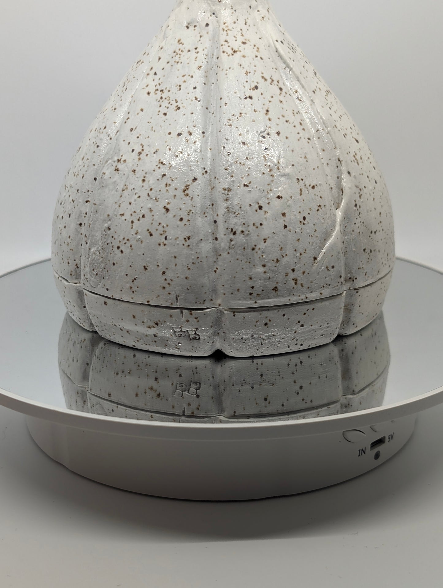 Garlic, garlic keeper PREORDER read description!