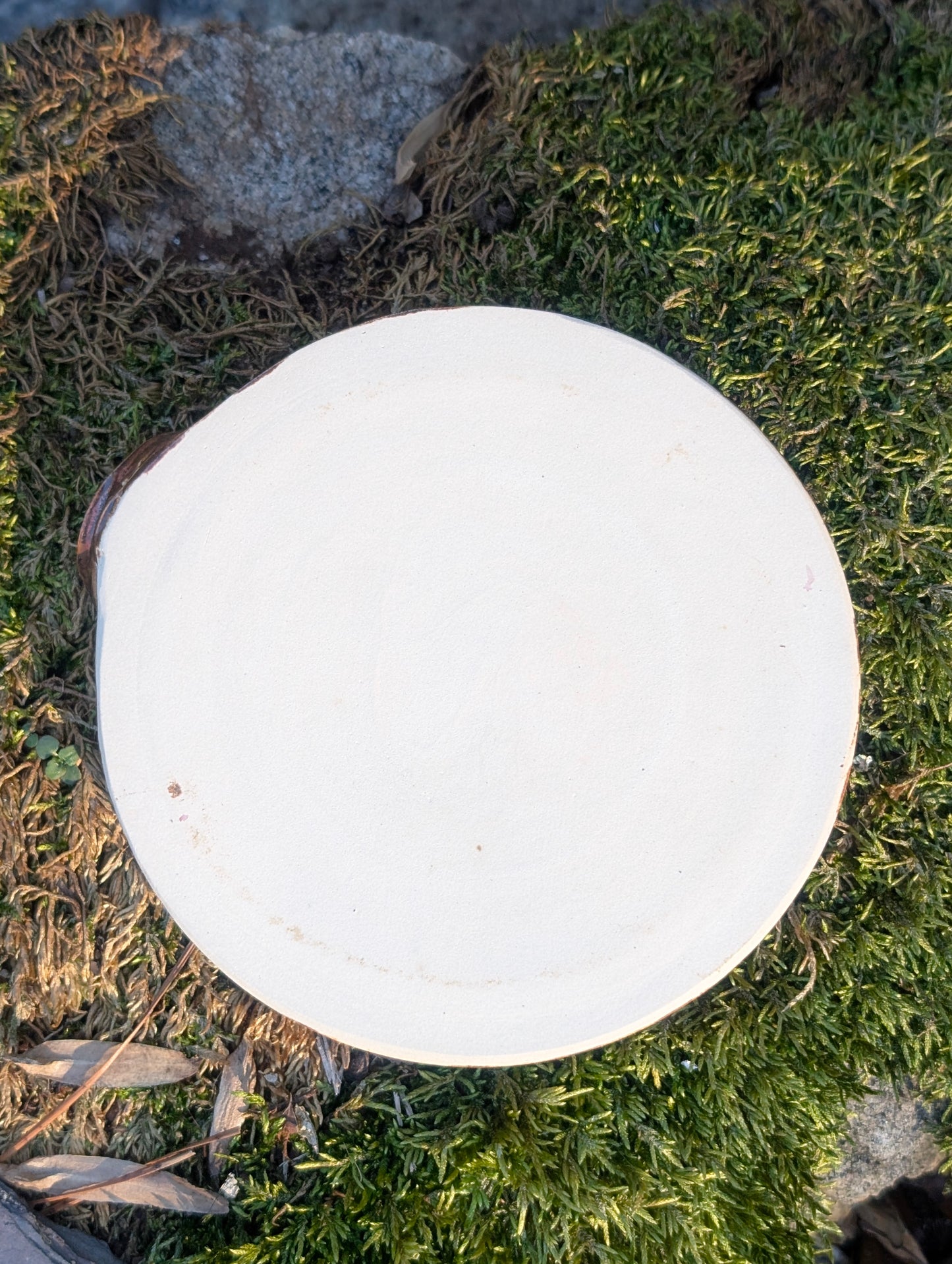 Copper and Blue Speckled Spoon Rest