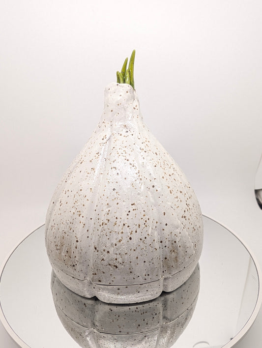 Garlic, garlic keeper PREORDER read description!